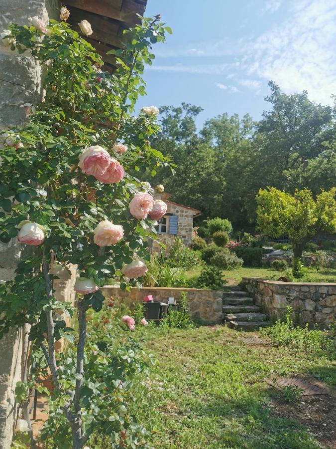 הוילה מוטורו Domaine Geodora, Parfumeur En Provence מראה חיצוני תמונה