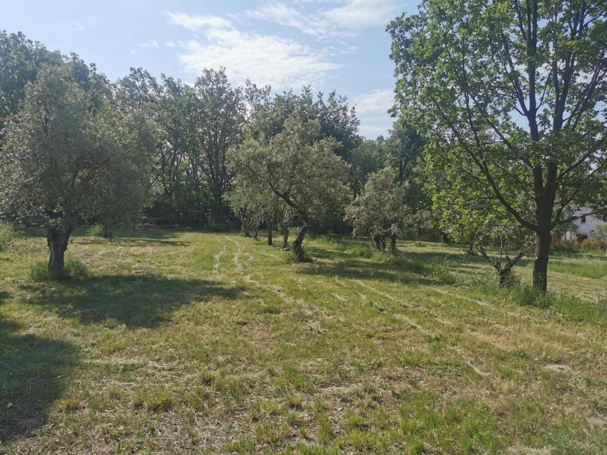 הוילה מוטורו Domaine Geodora, Parfumeur En Provence מראה חיצוני תמונה